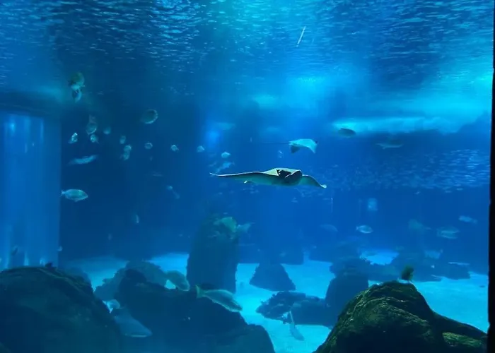 Apartamento Lisbon South Bay Modern With River View Almada