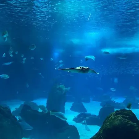 Lägenhet Lisbon South Bay Modern With River View Almada